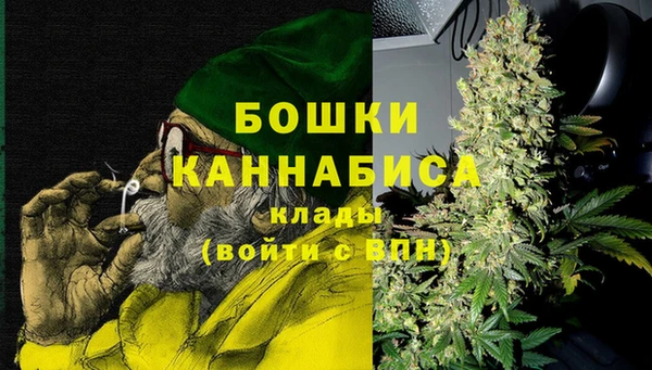 COCAINE Богородицк