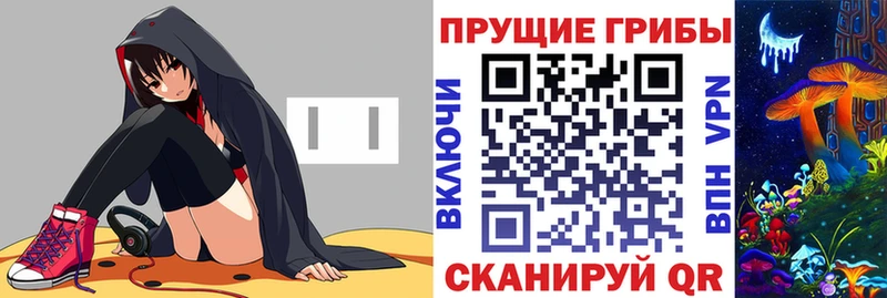 дарнет шоп  Буйнакск  Псилоцибиновые грибы Magic Shrooms 