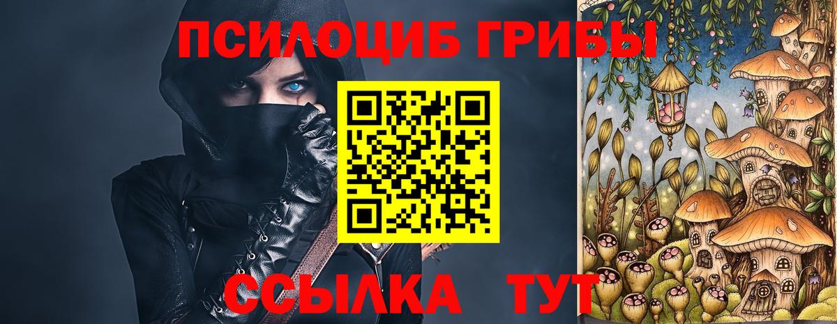 Галлюциногенные грибы Cubensis Буйнакск