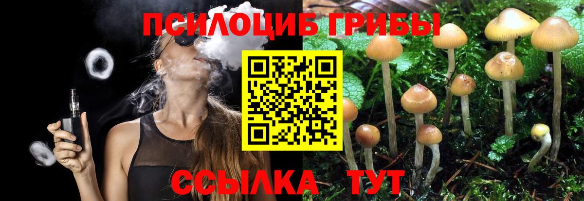 сколько стоит  Вход с VPN  Буйнакск  Галлюциногенные грибы Psilocybe 